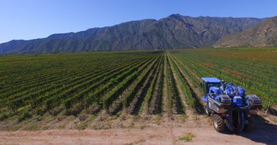 Advierten que la vitivinicultura atraviesa una situación de “quebranto generalizado” Advierten que la vitivinicultura atraviesa una situación de “quebranto generalizado”