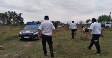 Cinchadas en Rosario: detuvieron a 13 personas en la zona noroeste Cinchadas en Rosario: detuvieron a 13 personas en la zona noroeste