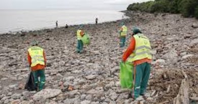 Recolectaron 2.800 kilos de plásticos en una jornada de limpieza del Río de La Plata. Recolectaron 2.800 kilos de plásticos en una jornada de limpieza del Río de La Plata.